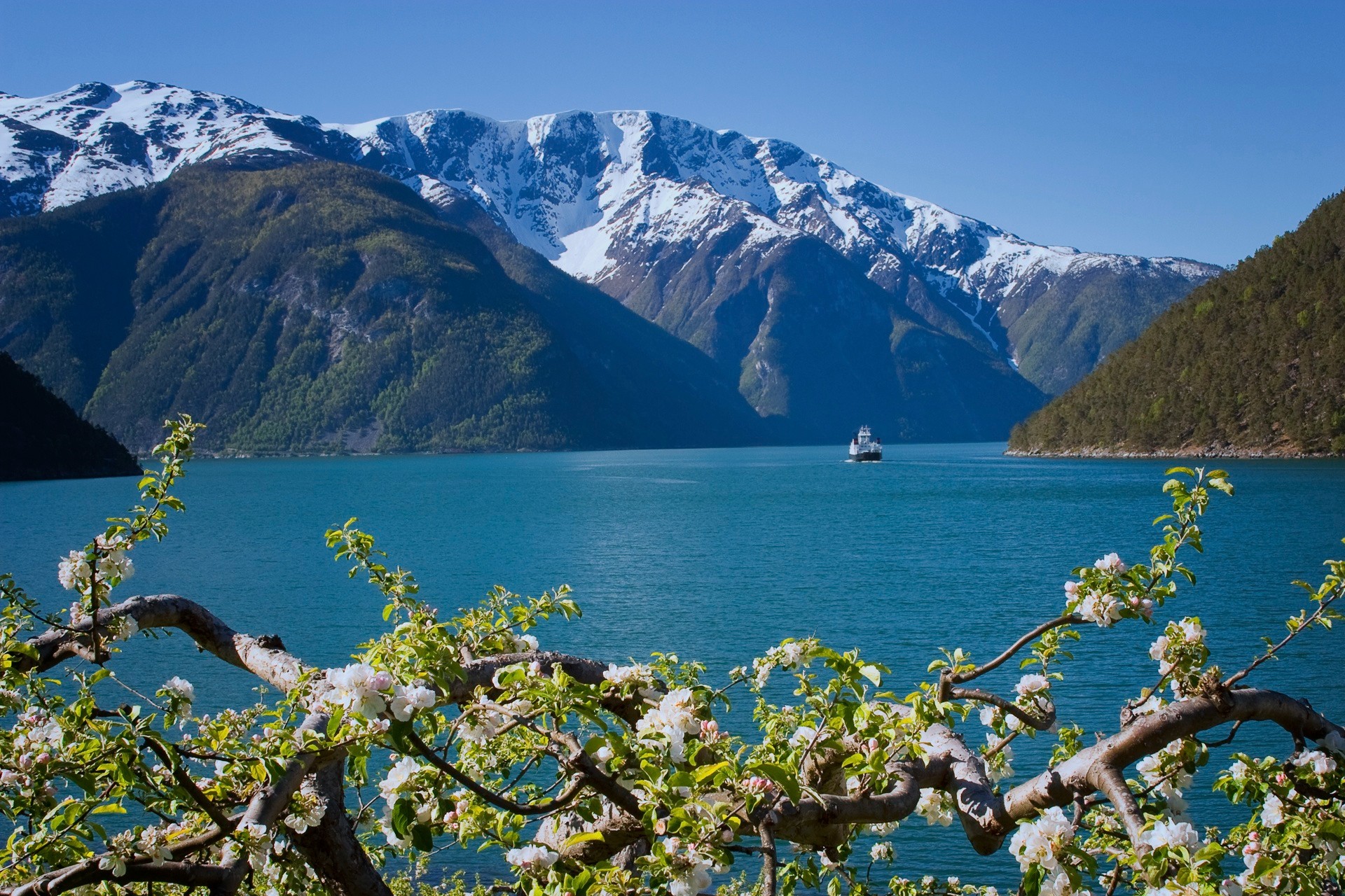 Sognefjorden ved Kaupanger  Finn Loftesnes Sognavert