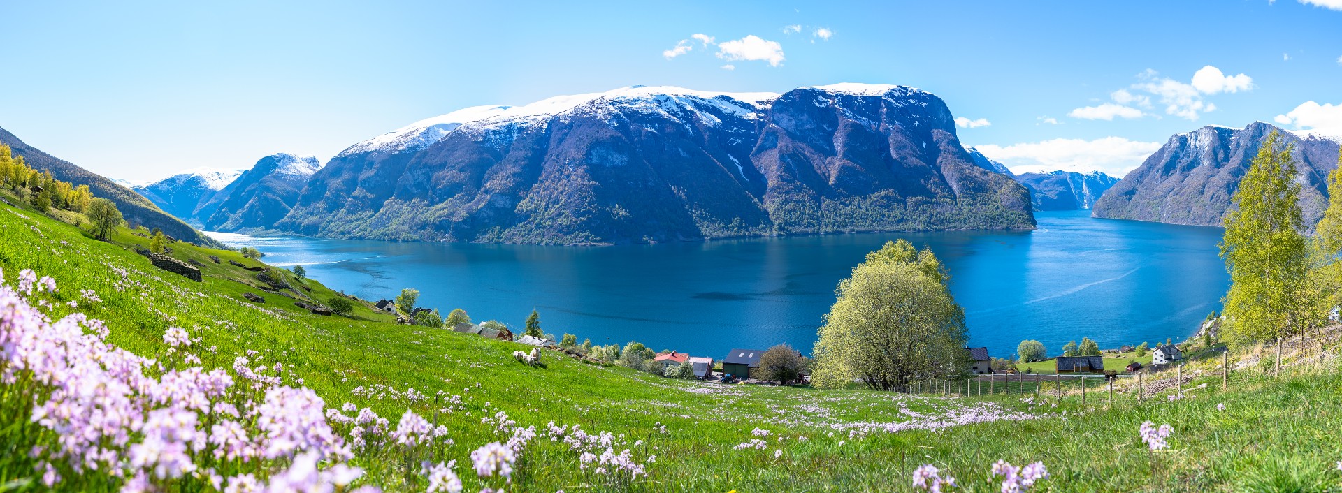 Aurlandsfjorden-fl18065- Foto_Sverre_Hjørnevik 3