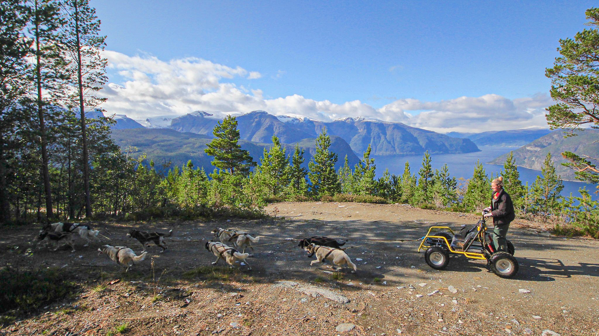 FjordHusky sommar