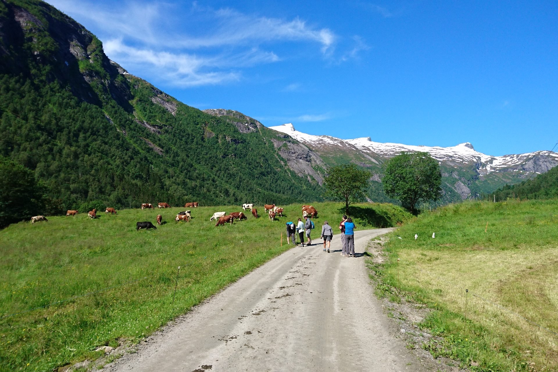 Mundal Valley Hike-PGK Fjærland