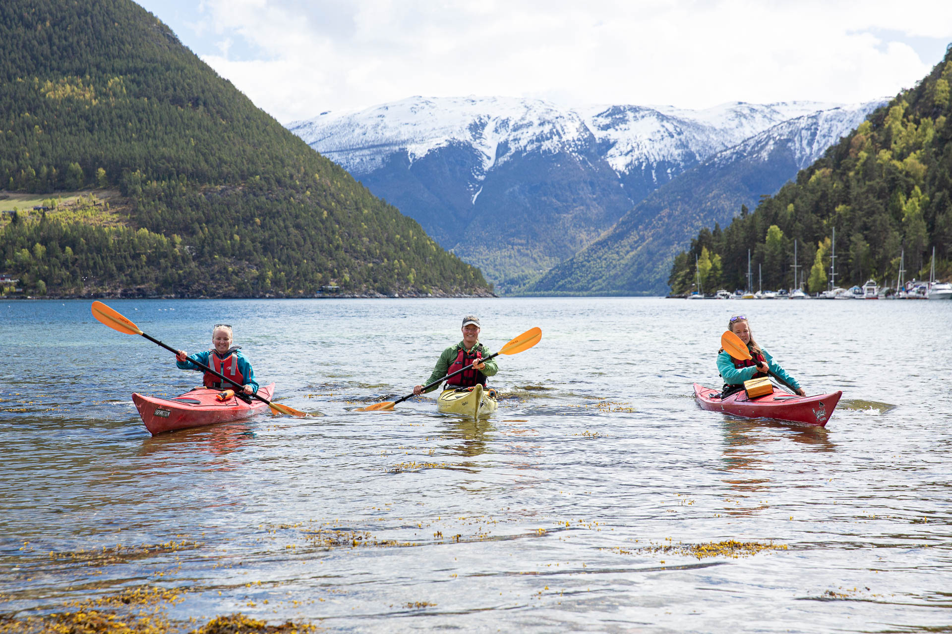 Sognefjord Guiding Foto Falkeblikk